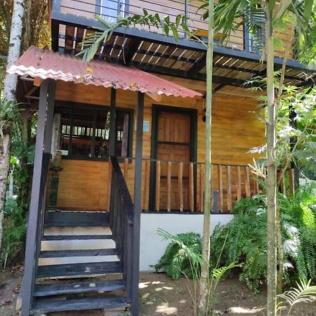 Papaya Wildlife Lodge Cahuita Extérieur photo