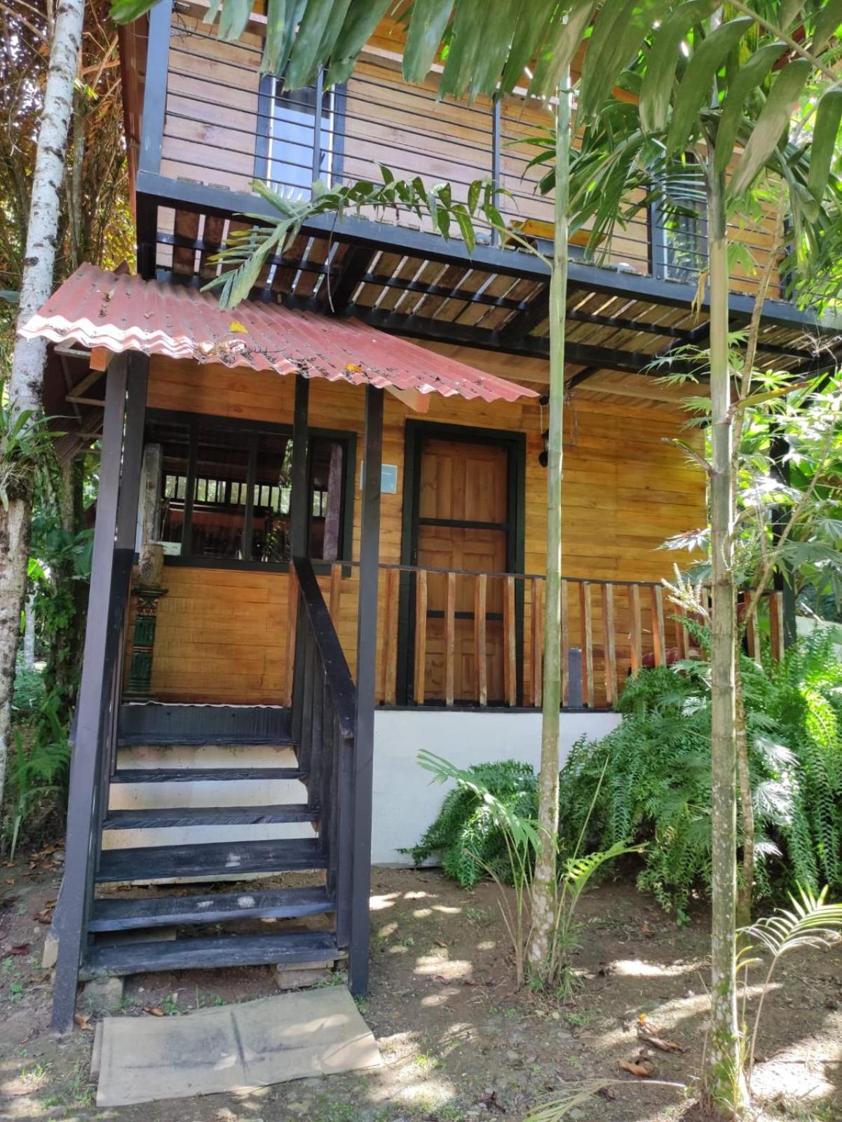 Papaya Wildlife Lodge Cahuita Extérieur photo