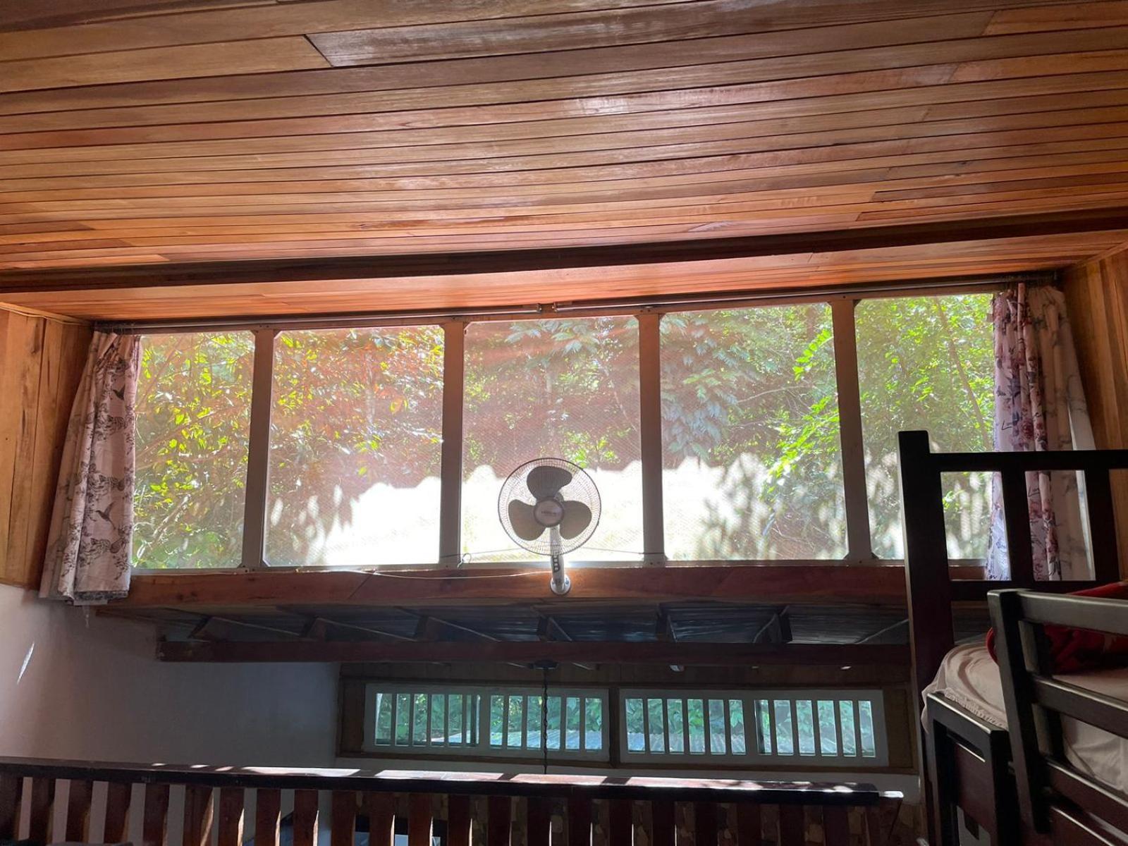 Papaya Wildlife Lodge Cahuita Extérieur photo