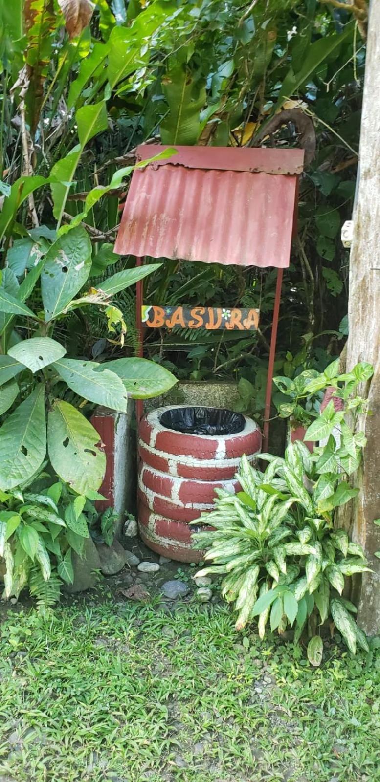 Papaya Wildlife Lodge Cahuita Extérieur photo