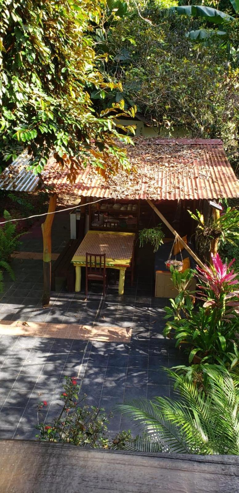 Papaya Wildlife Lodge Cahuita Extérieur photo
