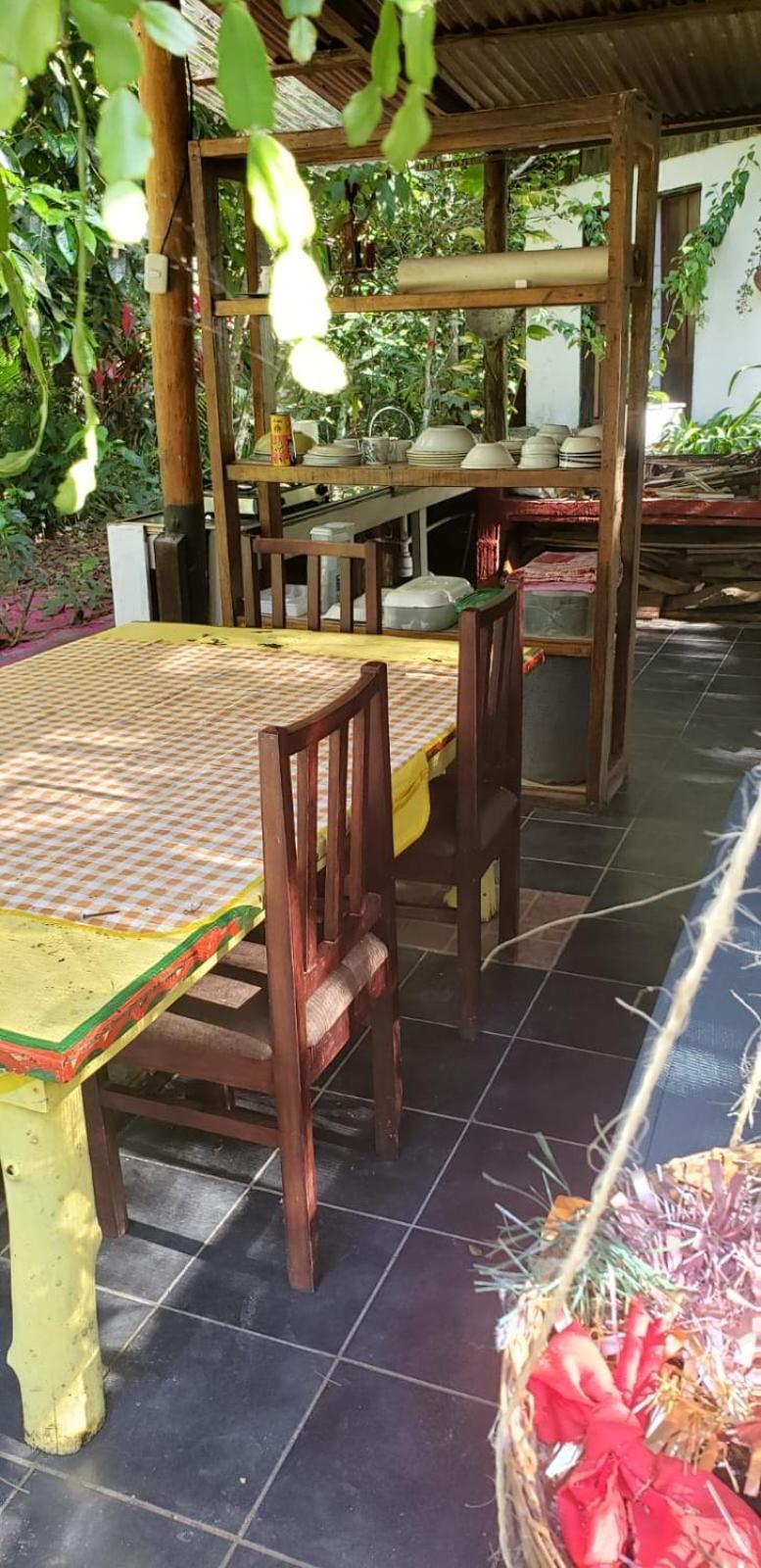 Papaya Wildlife Lodge Cahuita Extérieur photo