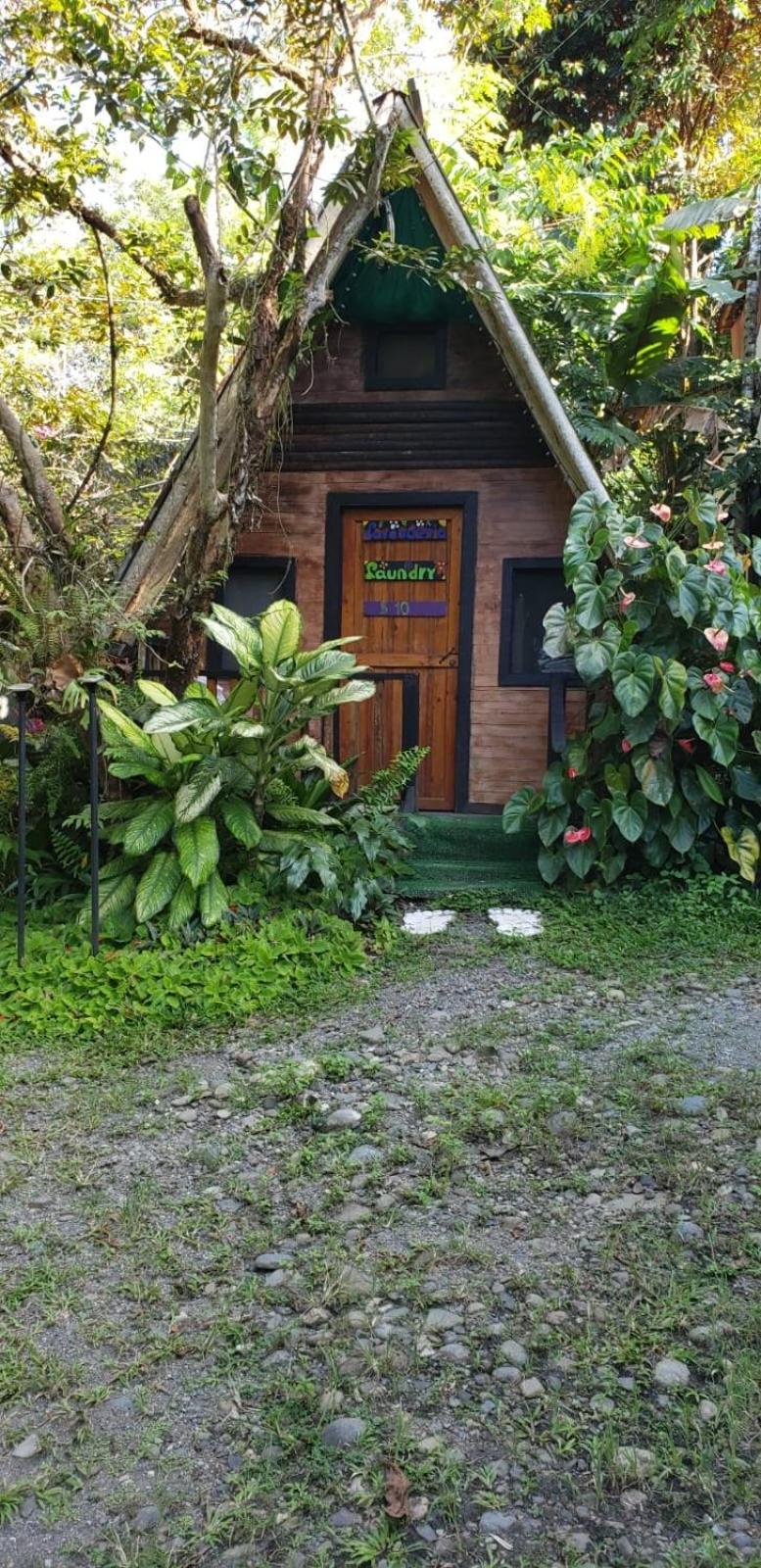 Papaya Wildlife Lodge Cahuita Extérieur photo
