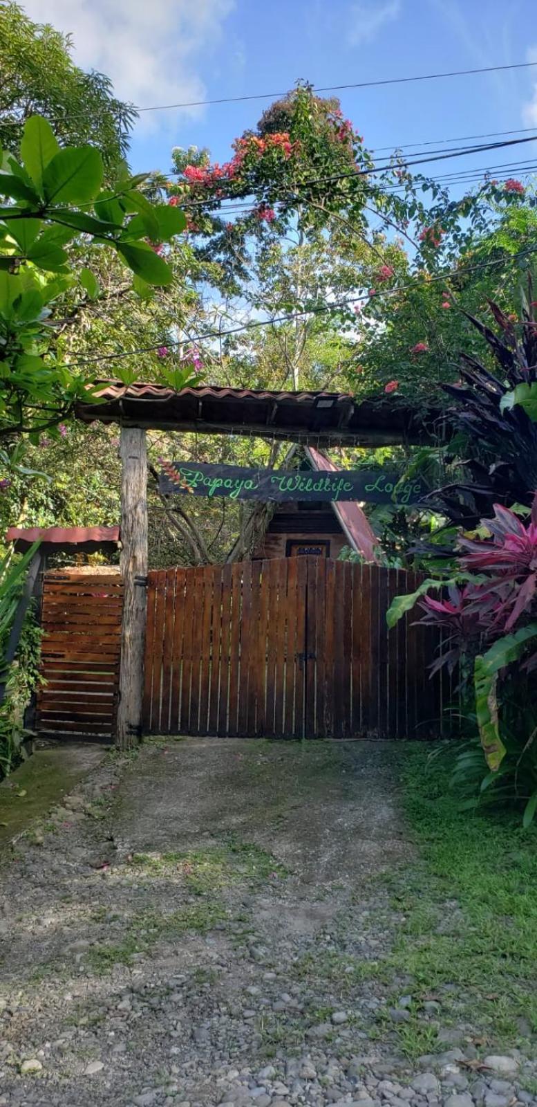 Papaya Wildlife Lodge Cahuita Extérieur photo