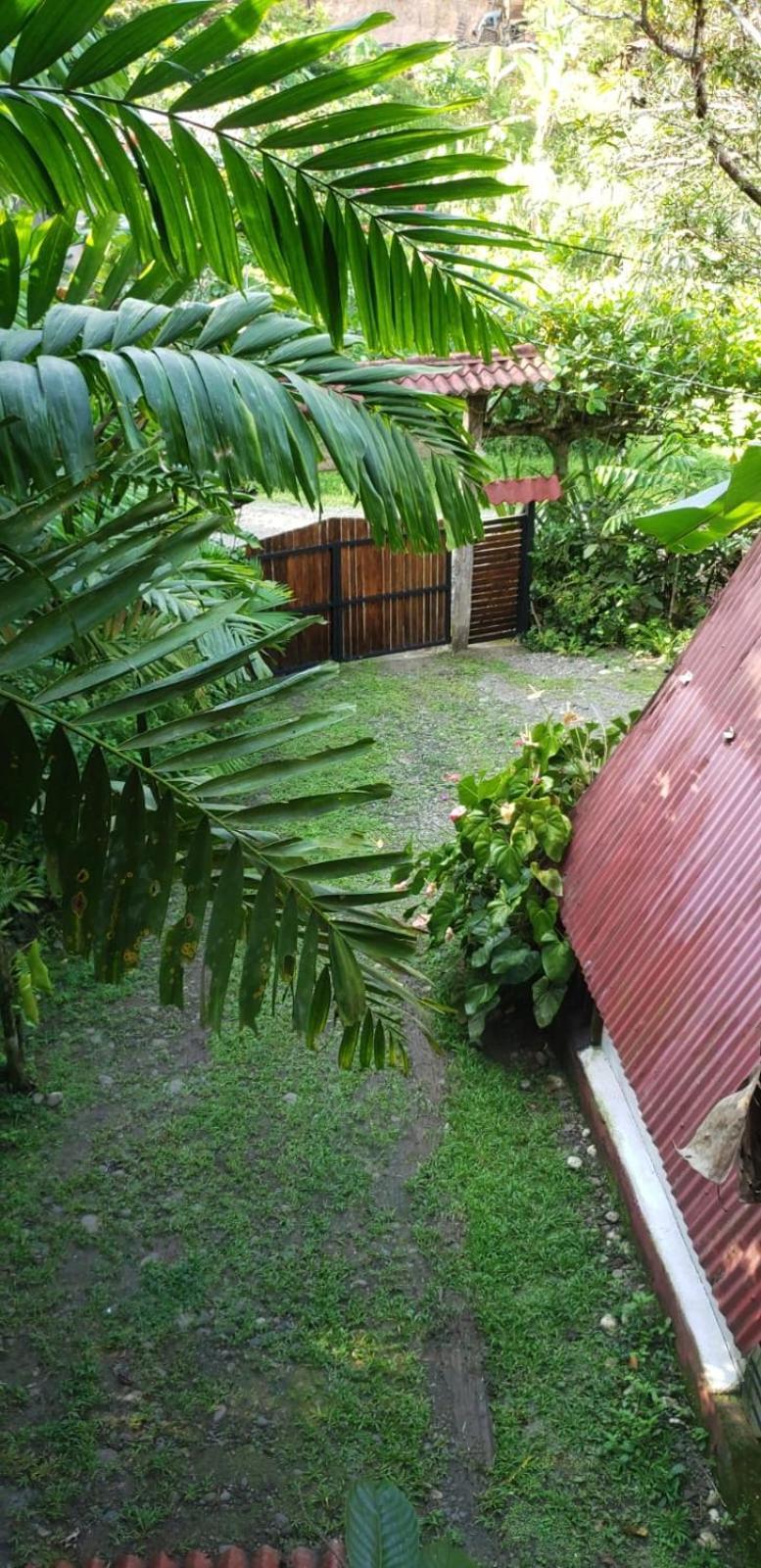 Papaya Wildlife Lodge Cahuita Extérieur photo